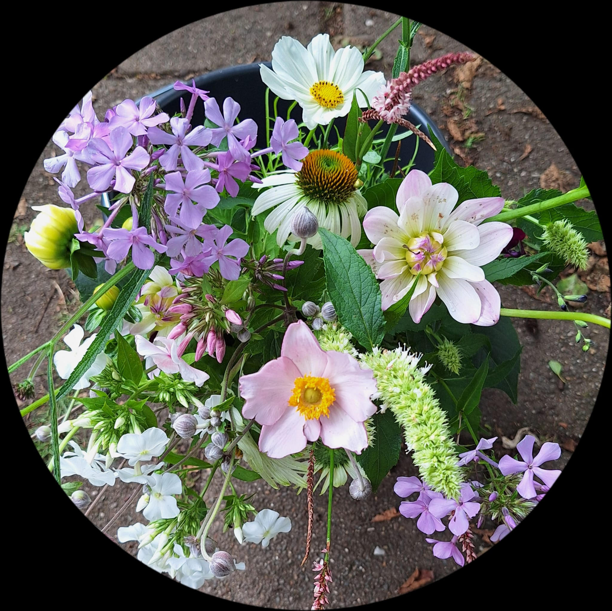 Rond boeket met paarse en roze bloemen uit de pluktuin